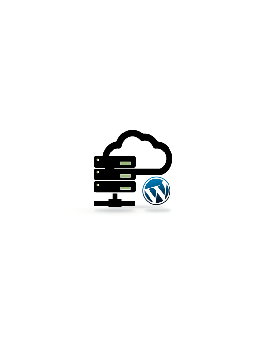 Hosting Wordpress Básico